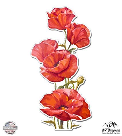 425x472 Poppies Watercolor Beautiful Poppy Flowers