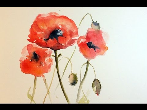 480x360 Watercolor Poppies Real Time Painting Demonstration