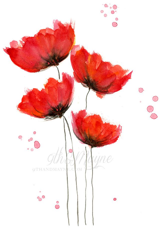 650x919 Watercolor Poppies Red