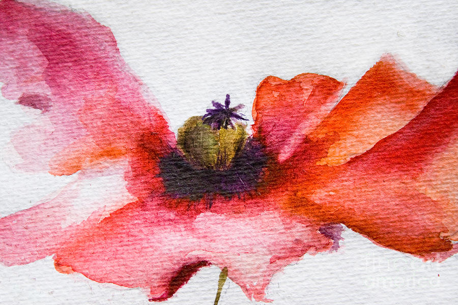 900x600 Watercolor Poppy Flower Painting By Regina Jershova