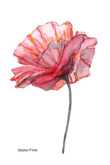 380x570 Watercolor Poppy By Sandraculliton More Stuff I Like