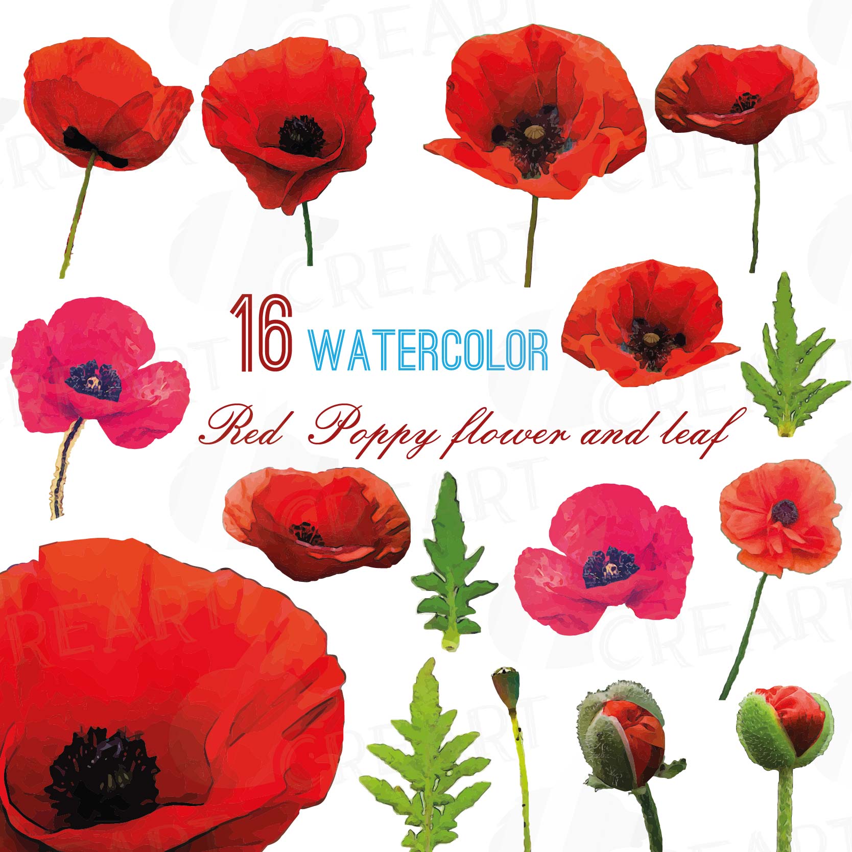 1668x1668 Watercolor Red Poppy Flower And Leaf Clip Art Pack, Poppies Clip