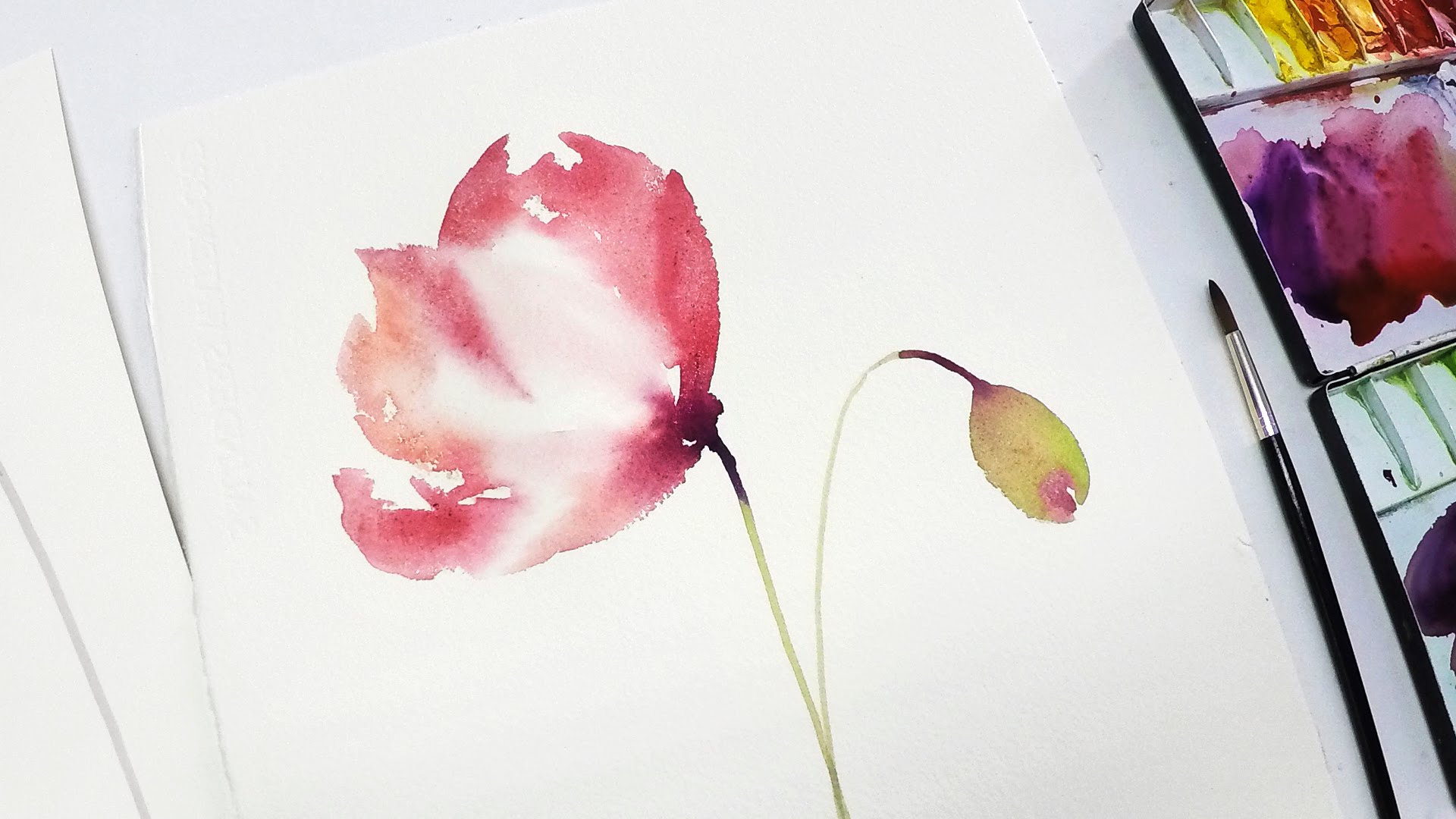 1920x1080 Lvl2] Poppy Watercolor Painting For Beginners