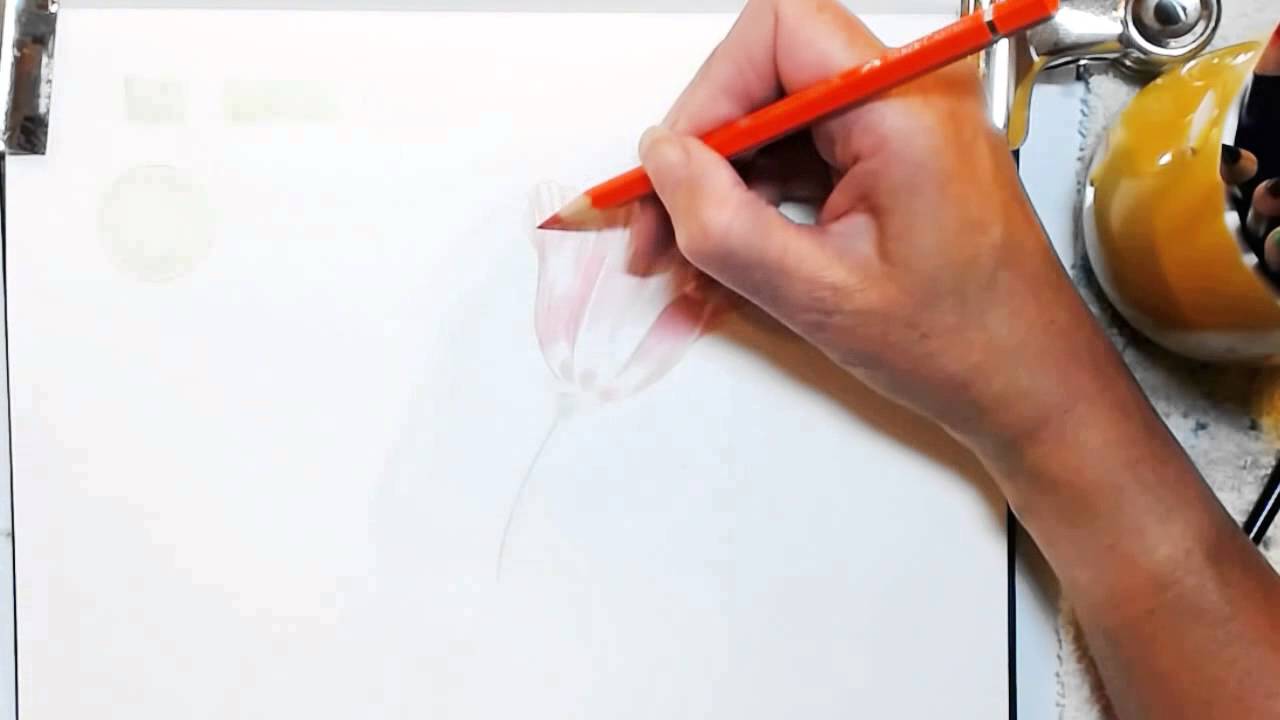 1280x720 Painting A Watercolor Pencil Poppy