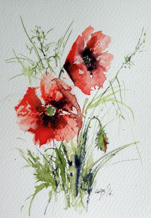 511x735 Buy Little Poppy, Watercolour By Anna Brigitta On Artfinder