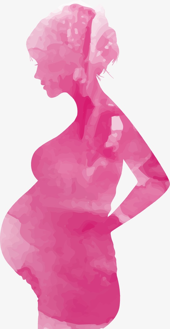 547x1054 Pregnant Women Vector Watercolor, Watercolor Vector, Maternal
