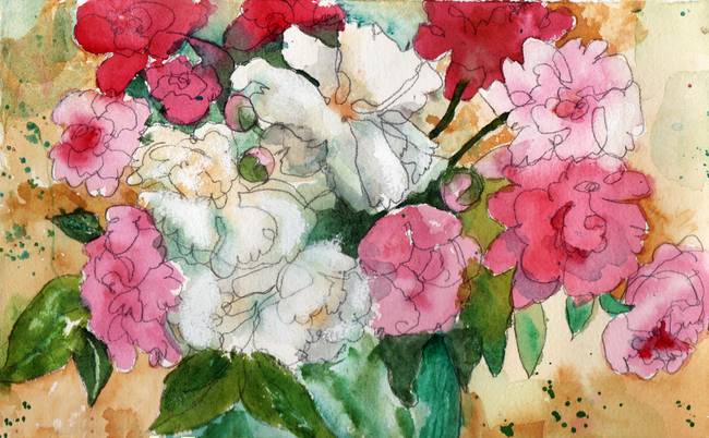 650x402 Watercolor Flowers, Pretty Peonies, Pink By Miriam Schulman
