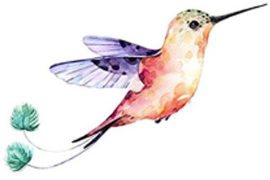 379x253 Pretty Watercolor Hipster Spring Paint Art Vinyl Decal