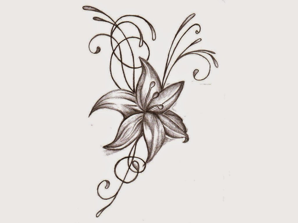 1024x768 Pretty Flower Drawings