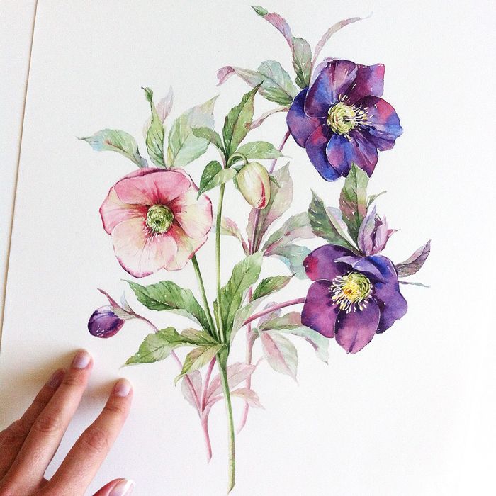 700x700 Pretty Watercolor Flowers By Natalia Tyulkina Watercolors