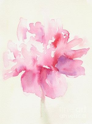 300x404 Pretty Watercolor Flower. Love This For A Tattoo....shoulder