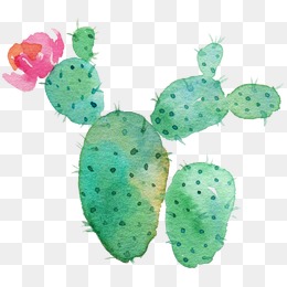 260x260 Prickly Pear Png Images Vectors And Psd Files Free Download On