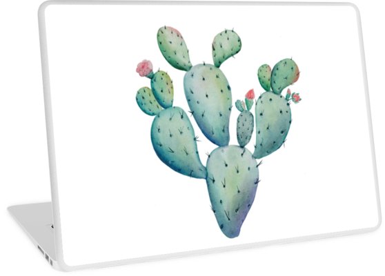 558x400 Prickly Pear Watercolor Desert Cactus Laptop Skins By