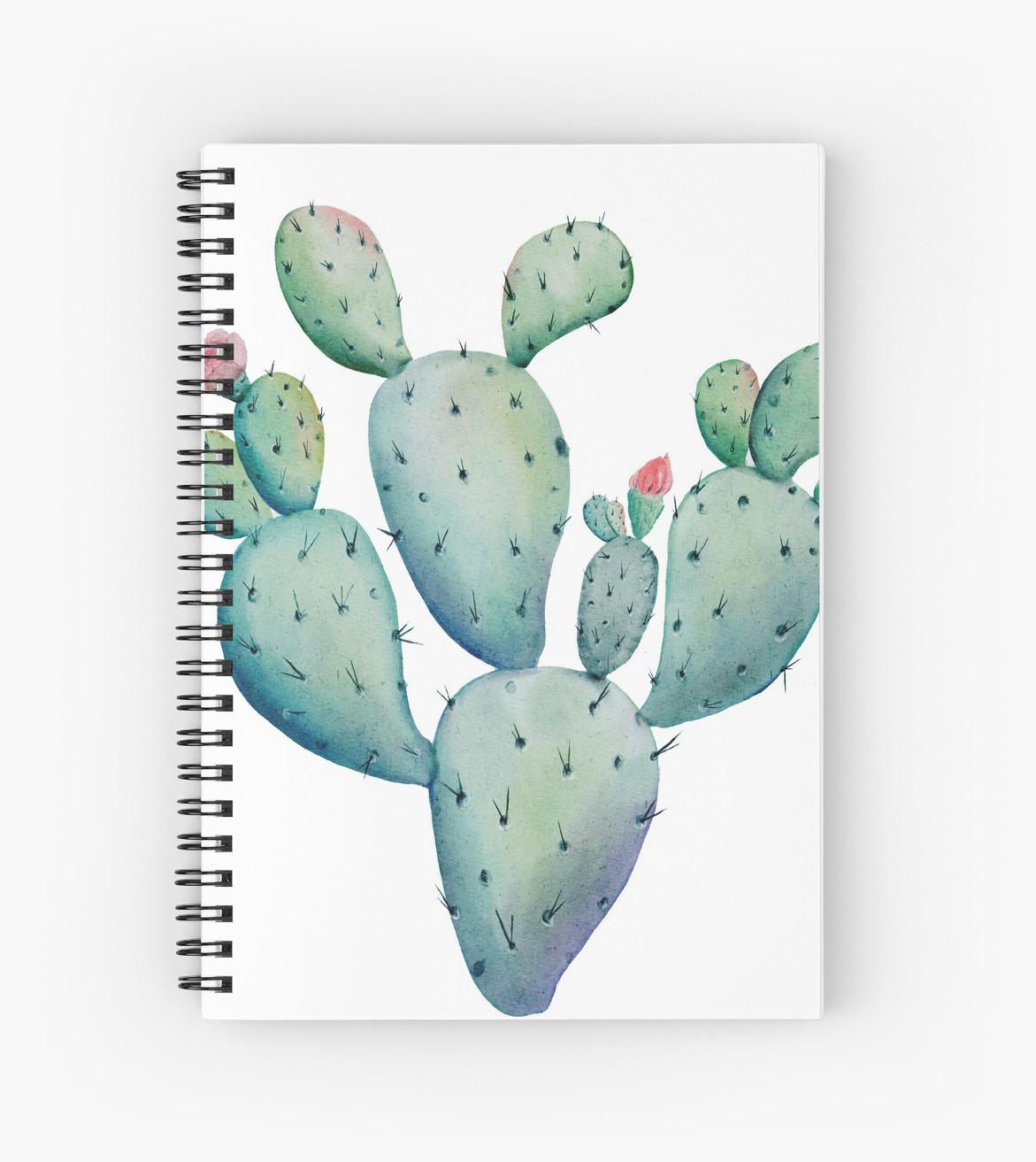 1171x1313 Prickly Pear Watercolor Desert Cactus Spiral Notebooks By