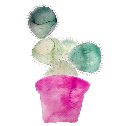 530x530 Prickly Pear Watercolor Print Waiting On Martha