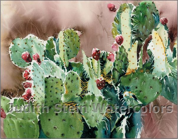 603x473 Southwest Cactus, Red Tuna Fruit, Desert By Steinwatercolors On Zibbet