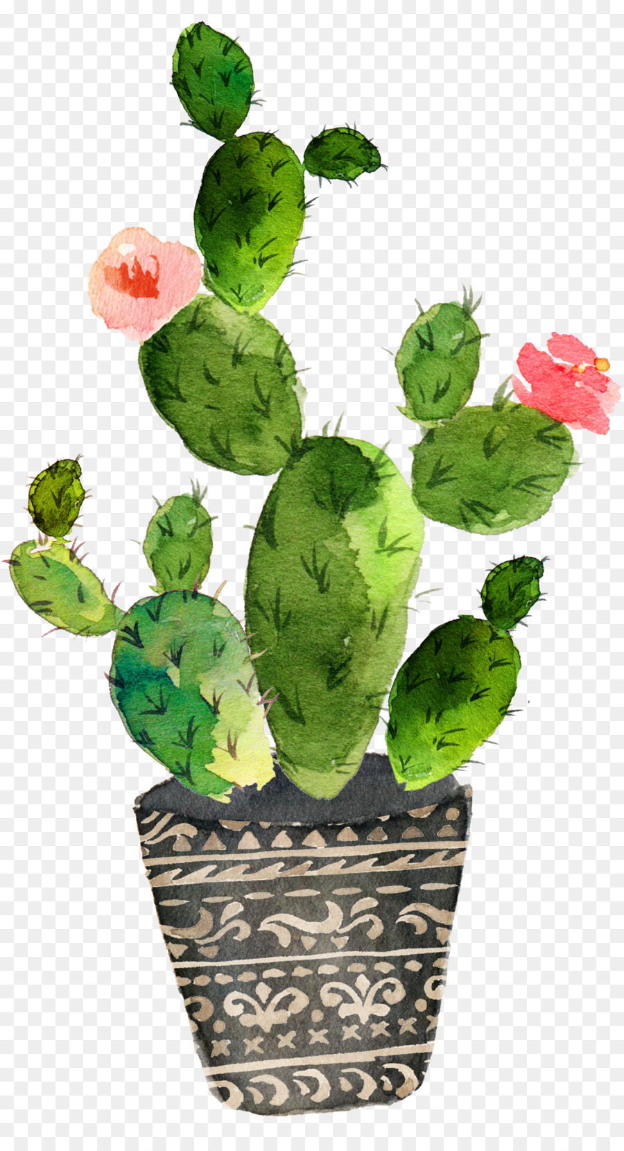 900x1660 Cactaceae Watercolor Painting Art Drawing