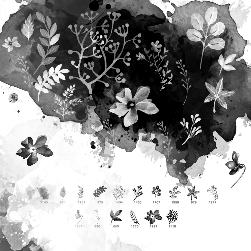 1000x1000 16 Watercolor Floral Brushes