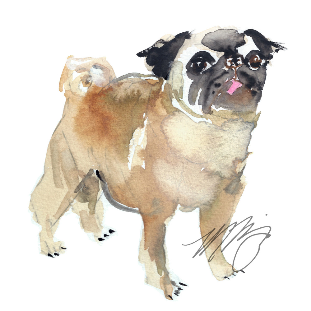 1000x1000 Pug Life Fine Art Print Marnani Design Studio