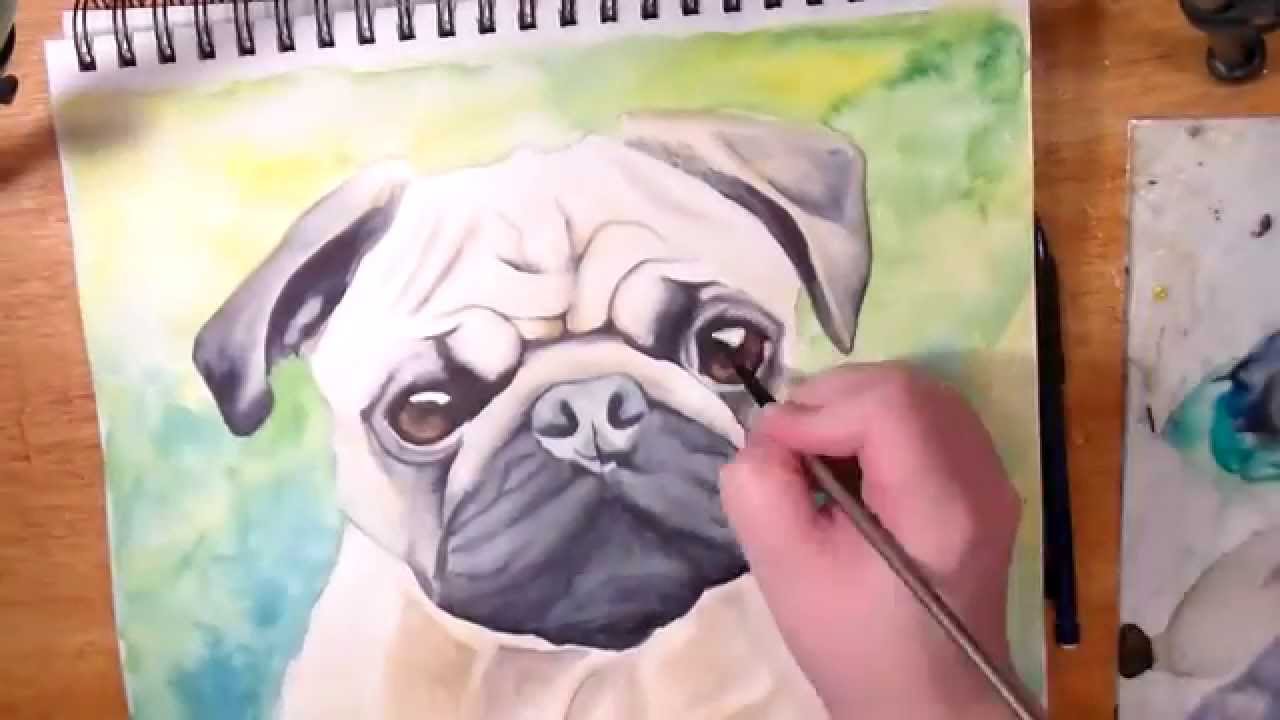 1280x720 Pug Pet Portrait