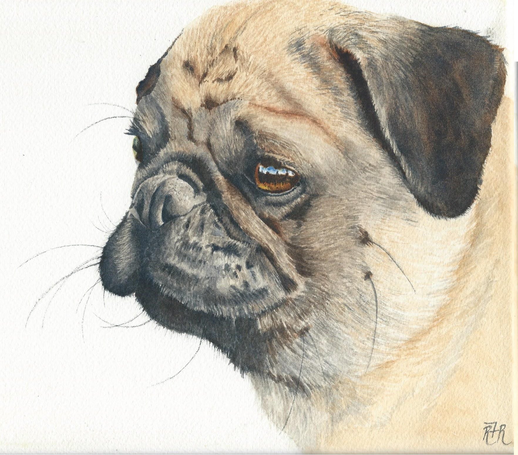 1764x1552 Watercolor Painting Tutorial