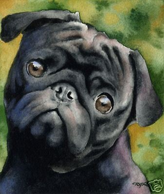 337x400 Black Pug Watercolor Painting Dog Art 8 X 10 Print Signed Artist