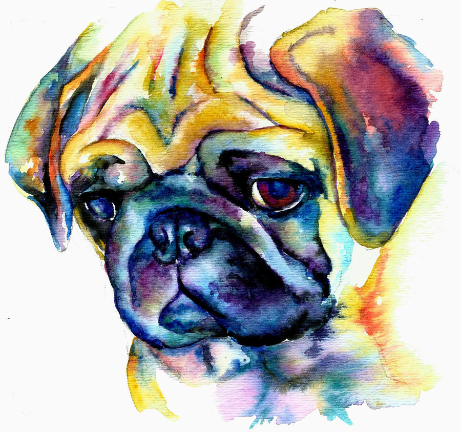 900x843 Blue Pug Painting By Christy Freeman