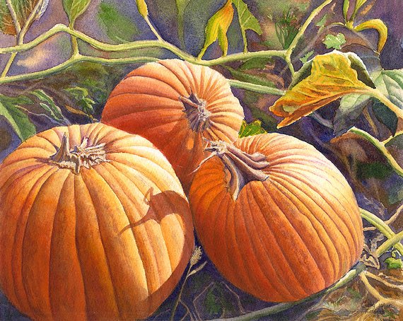 570x454 Pumpkin Watercolor Painting Print By Cathy Hillegas 8x10 Fall Etsy