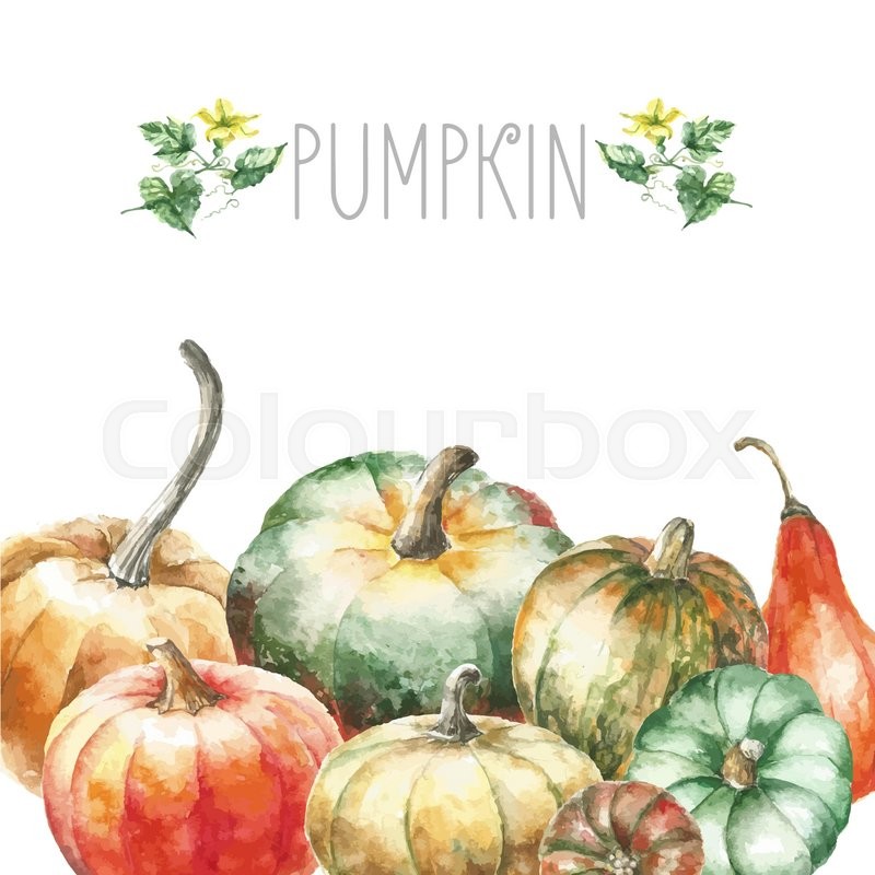 800x800 Watercolor Pumpkin. Hand Drawn Painting Set Pumpkins With Pumkins
