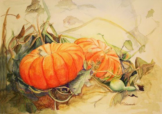 558x393 Watercolor Painting Of Pumkin Patch