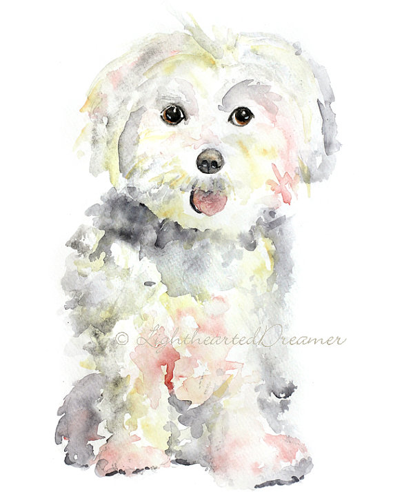 570x713 Maltese Painting, Dog Print, Maltese, Puppy Print, Kids Wall Art