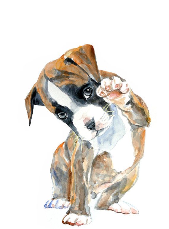 570x772 Puppy Watercolor Painting Art Print Dog By Mundomeo On Etsy