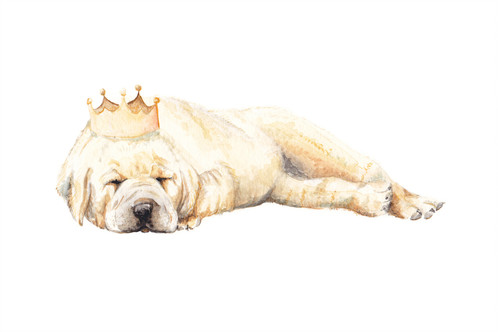 498x332 Watercolor Puppy Crown Greeting Card Cute Dog