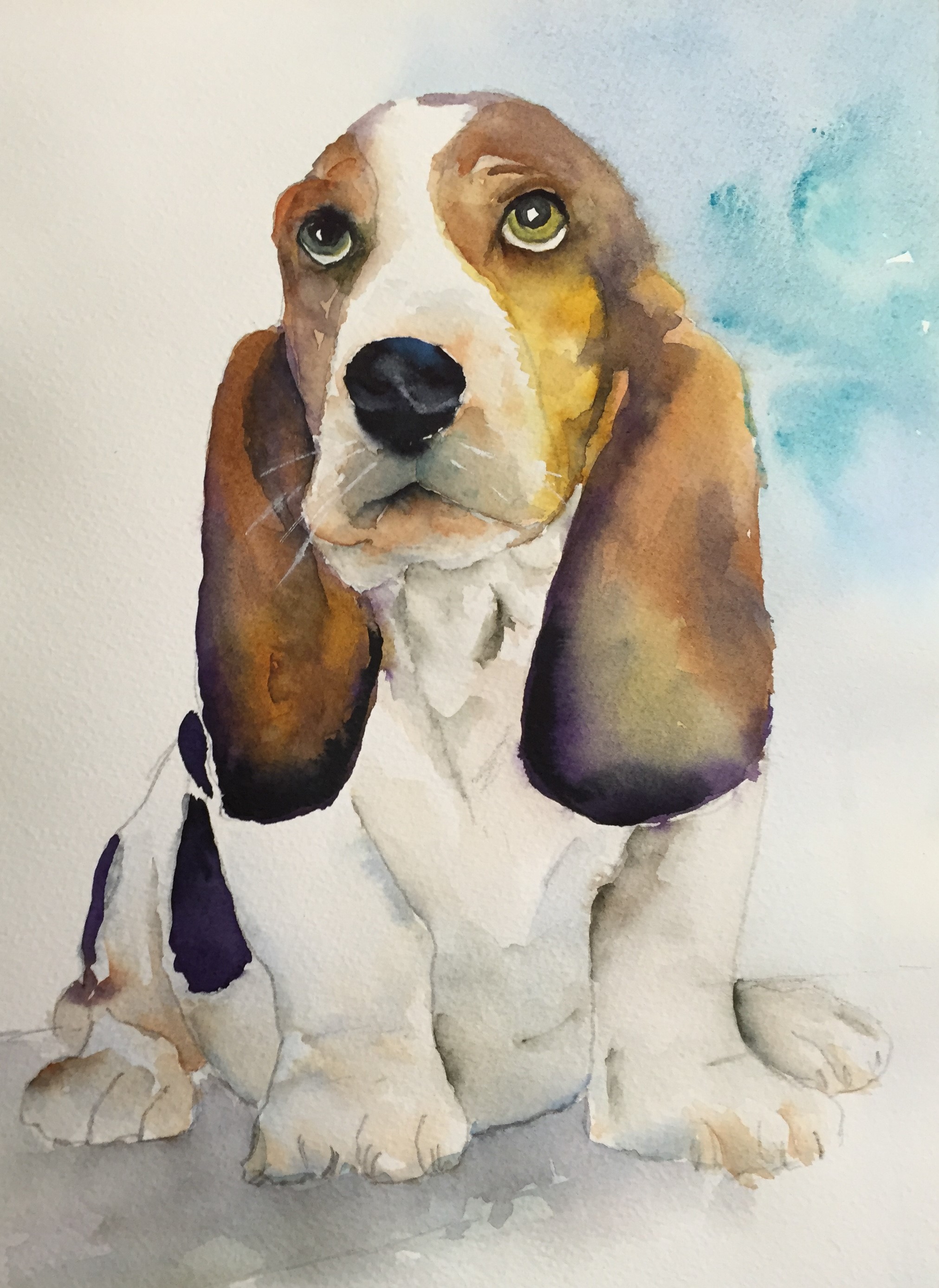 2023x2775 Bassett Hound Puppy Watercolor By Annette Bennett Annette