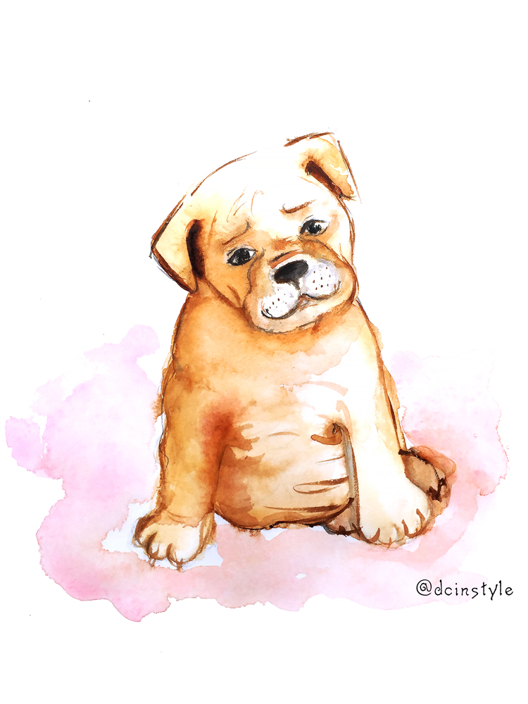 750x1000 Puppy Watercolor Archives
