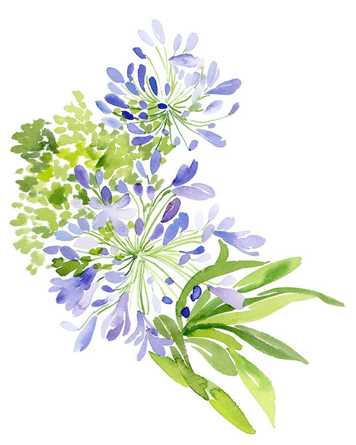 700x875 Purple Flower Watercolor Yao Cheng Design