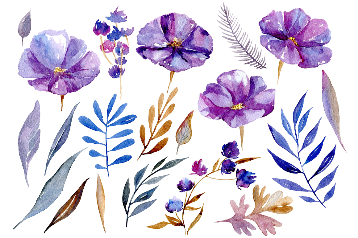 1160x772 Watercolor Violet Flowers, 32 Png