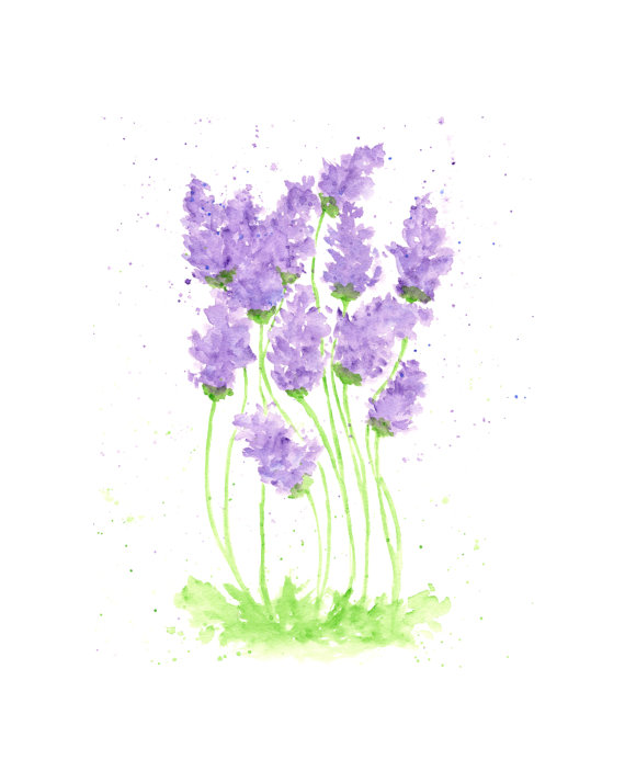 570x713 Watercolor Painting, Watercolor Flowers, Flower Print, Lavender