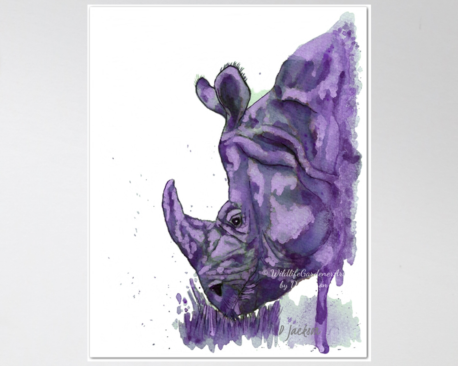 1600x1280 Purple Rhino Watercolor Art Print, 11 X 14 Unframed Wildlife