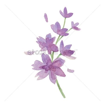 450x450 Free Purple Watercolor Flowers Stock Vectors Stockunlimited