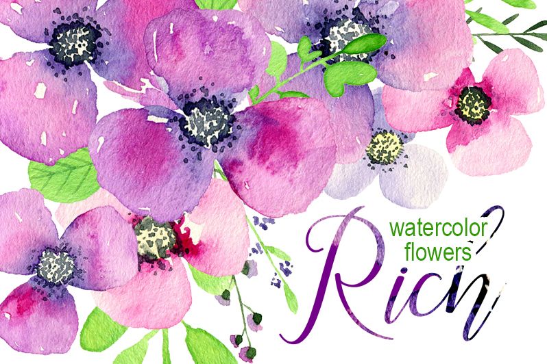 798x532 Violet Amp Purple Watercolor Flowers