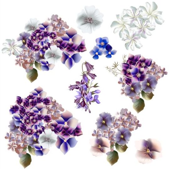 539x539 Watercolor Flowers Purple And Blue Colors Vector Free Download