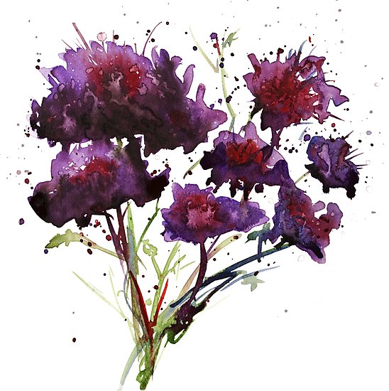 548x550 Dark Purple Watercolor Flowers Photographic Prints By