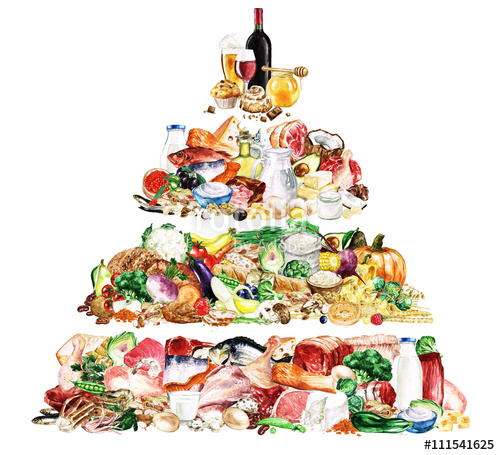 500x455 Watercolor Food Clipart