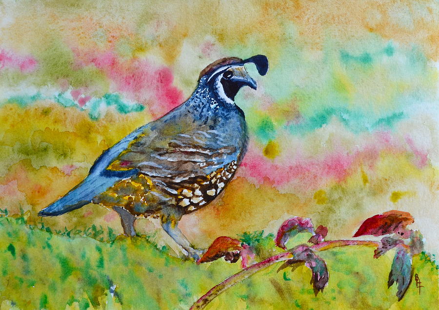 900x635 California Quail Painting By Beverley Harper Tinsley