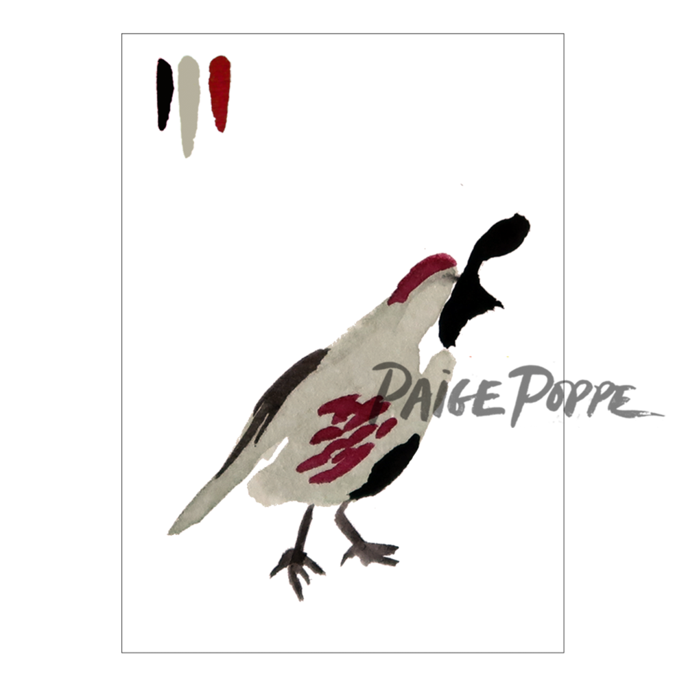 1000x1000 Desert Quail Watercolor Print Paige Poppe
