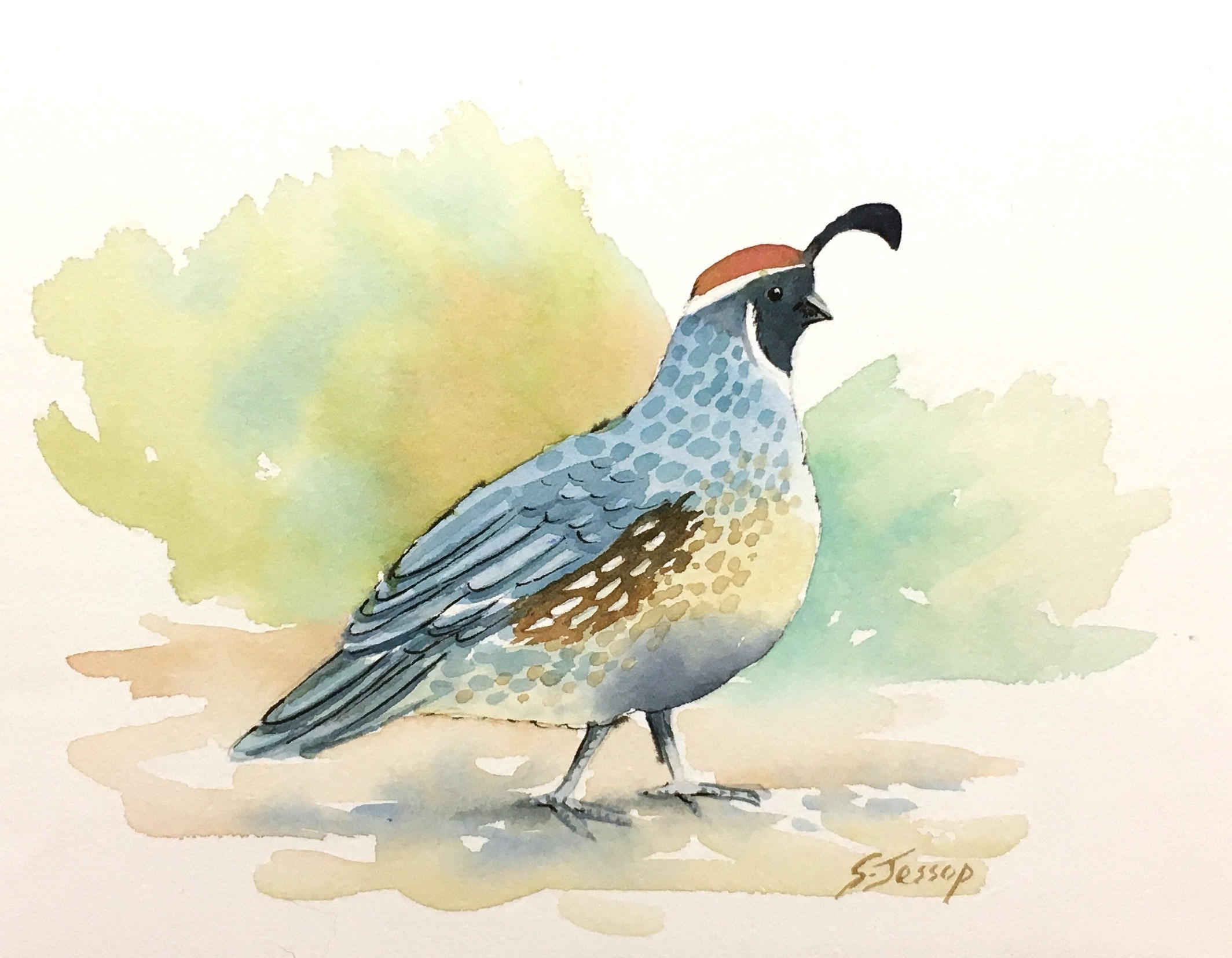 2128x1655 Desert Quail Original Watercolor