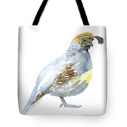 180x180 Quail Watercolor Painting Painting By Susan Windsor