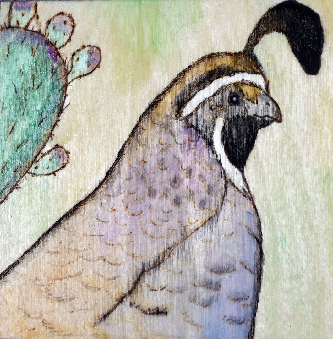 1060x1079 Quail Woodburning And Watercolor Painting Burning Hand Art