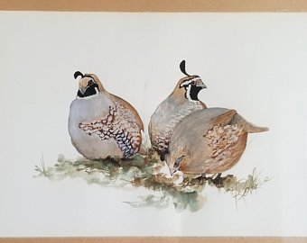 340x270 Quail Watercolor Etsy